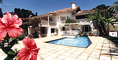  Roter Hibiskus l&auml;dt das ganze Jahr &uuml;ber zu meisterlichen Fotos ein